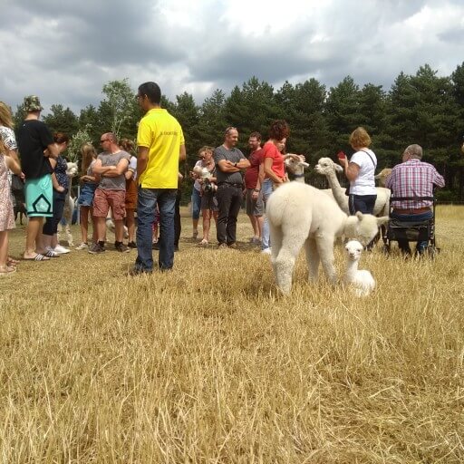 Kinderrondleiding